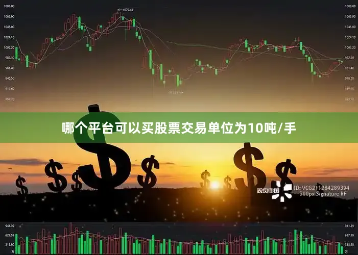 哪个平台可以买股票交易单位为10吨/手