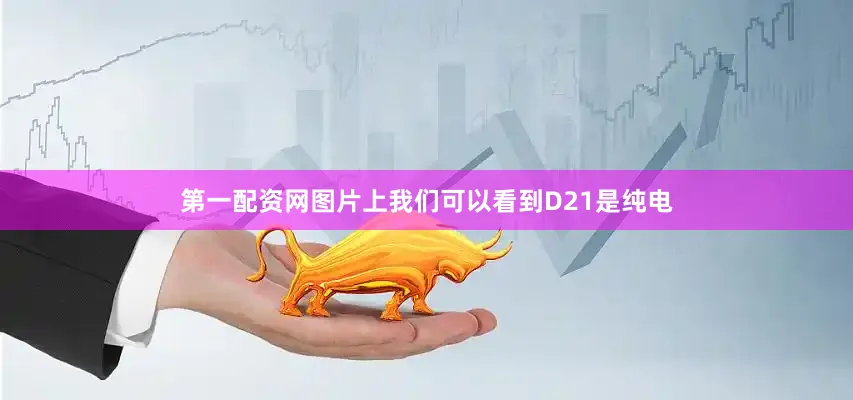 第一配资网图片上我们可以看到D21是纯电