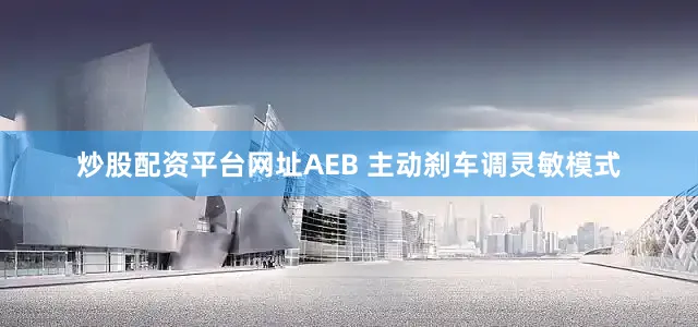炒股配资平台网址AEB 主动刹车调灵敏模式