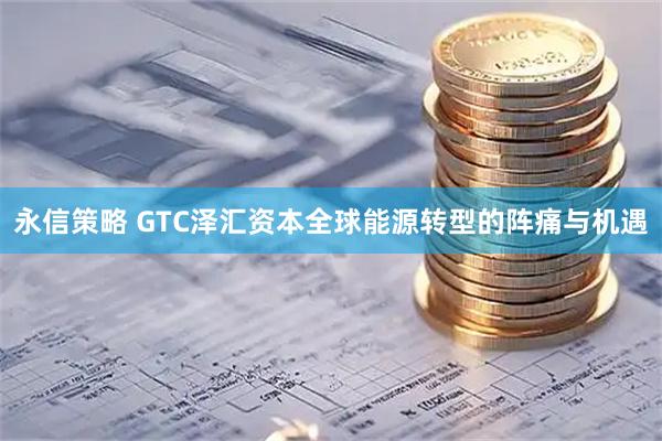 永信策略 GTC泽汇资本全球能源转型的阵痛与机遇