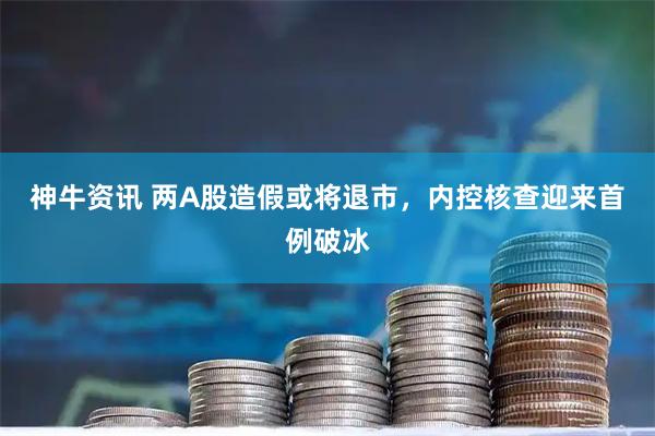 神牛资讯 两A股造假或将退市，内控核查迎来首例破冰